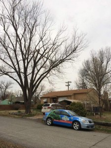 Storm restoration tree pruning in Tulsa