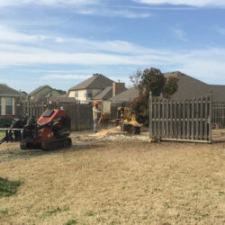 Resodding Grass after Tree Removal in Owasso Oklahoma