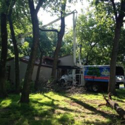 E Red Bud St: Tree Pruning & Removal Claremore, OK