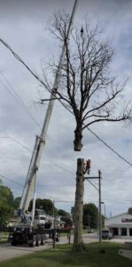 Rickert Landscaping & Tree Service - Tree Removal Tulsa