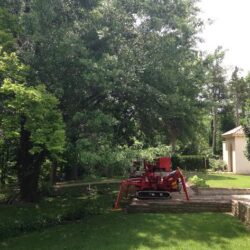 Philbrook Museum- Tree Pruning in Tulsa, OK 2