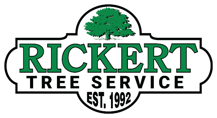 Tree Removal - Tree Trimming - Tulsa OK - Rickert Tree Service