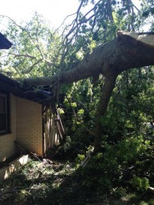 Rickert Tree Service Tree Removal Storm Damage