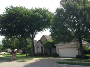S Yellowood Ave: Tree Removal & Trimming Broken Arrow, OK
