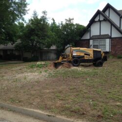 South Lakewood Dr- Tree Removal & Trim Tulsa, OK 3