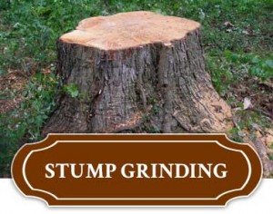 Stump Grinding in Tulsa
