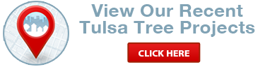 view-recent-tree-projects-in-tulsa-ok